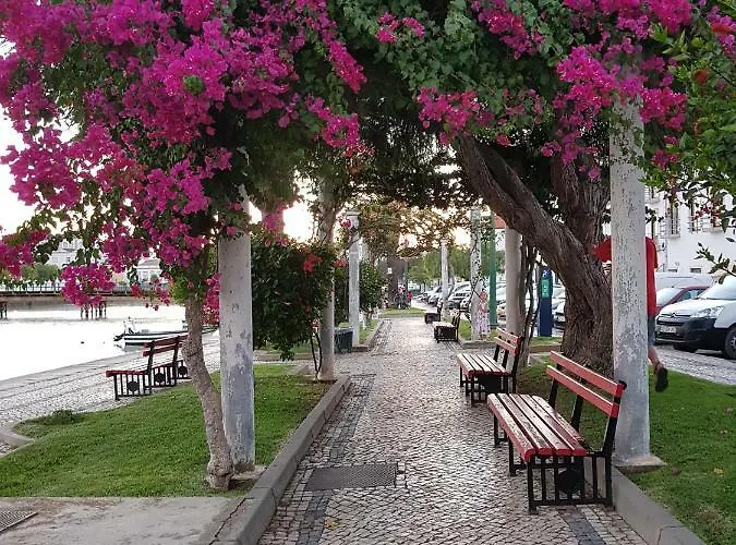 Bel Centre De 타비라